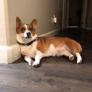 Meet your Posher, Aaron